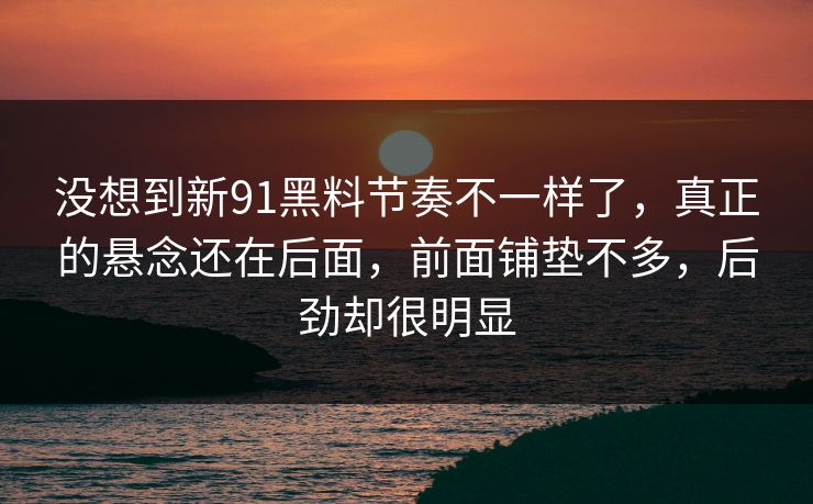 没想到新91黑料节奏不一样了，真正的悬念还在后面，前面铺垫不多，后劲却很明显