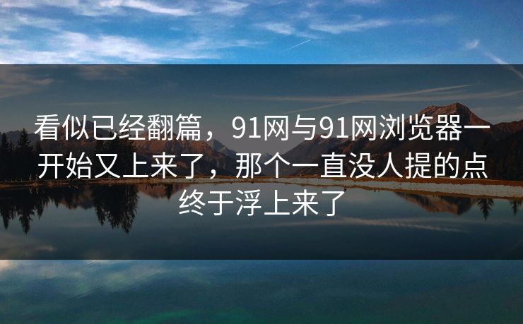 看似已经翻篇，91网与91网浏览器一开始又上来了，那个一直没人提的点终于浮上来了