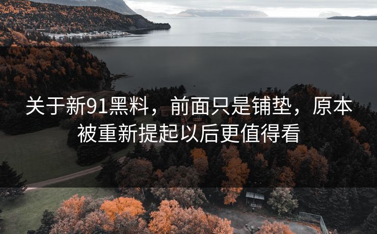 关于新91黑料,前面只是铺垫,原本被重新提起以后更值得看 关于新91黑料,前面只是铺垫,原本被重新提起以后更值得看