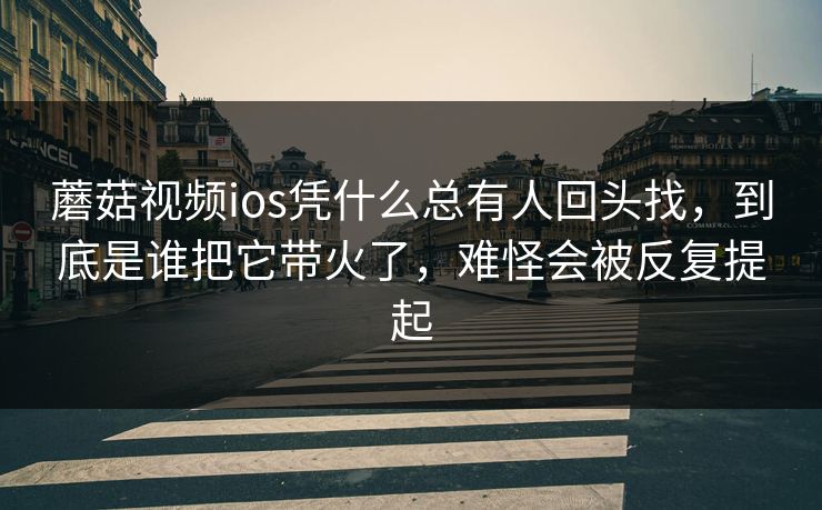 蘑菇视频ios凭什么总有人回头找，到底是谁把它带火了，难怪会被反复提起